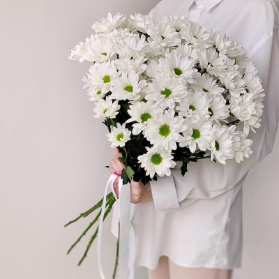 Букет «Ромашка» – 9 белоснежных хризантем в деревенском стиле Златоуст Челябинская область